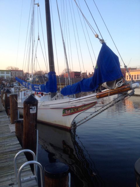 Annapolis Sailboat - Tula's Endless Summer