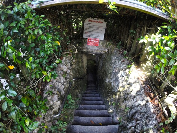 Devil S Den The Coolest Cavern And Fresh Water Spring In Florida