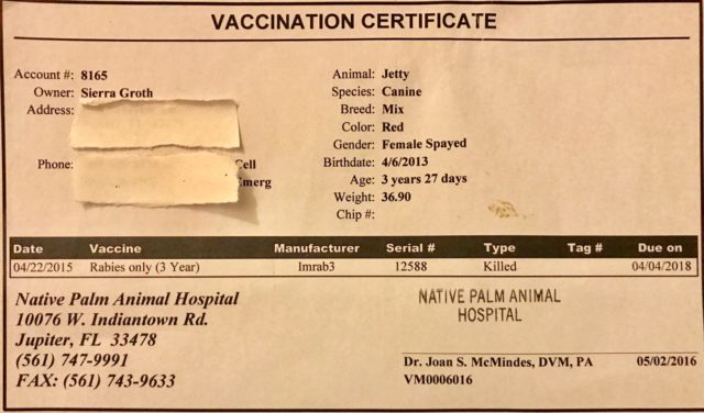 rabies-vaccine-certificate-tula-s-endless-summer