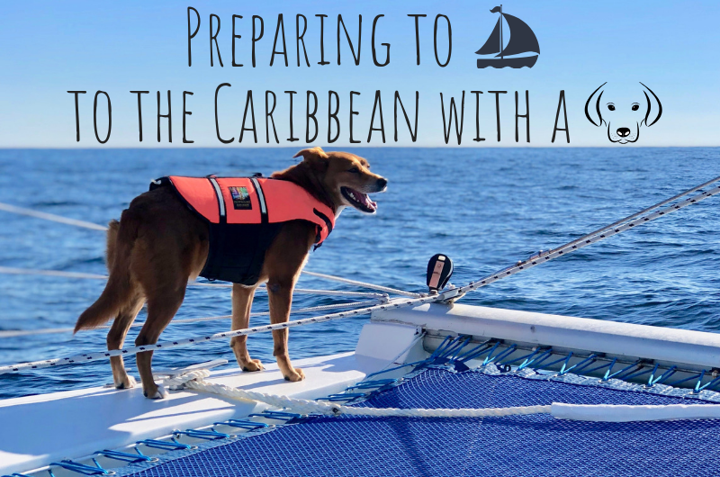 Preparing to sail to the Caribbean with a dog