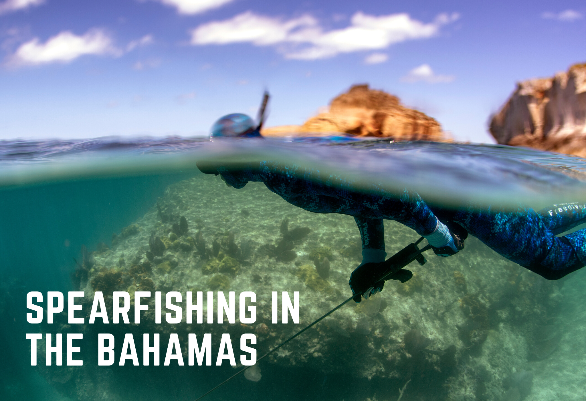 spearfishing in the bahamas